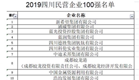 德勝集團位列 2019四川省民營企業(yè)100強第5位